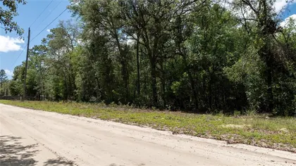 BRONSON FL Property