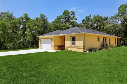 WEBSTER FL Home