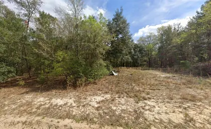 INTERLACHEN FL Property