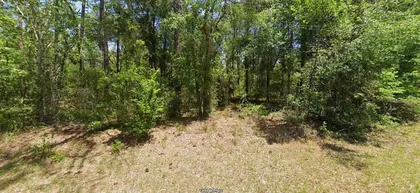 DUNNELLON FL Property