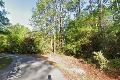 CRYSTAL RIVER FL Property