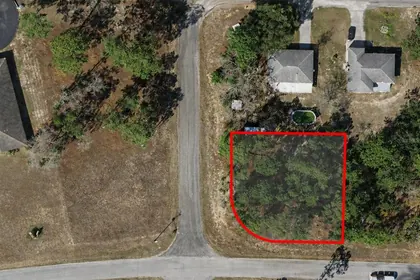 CITRUS SPRINGS FL Property