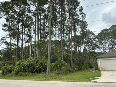 PALM COAST FL Property