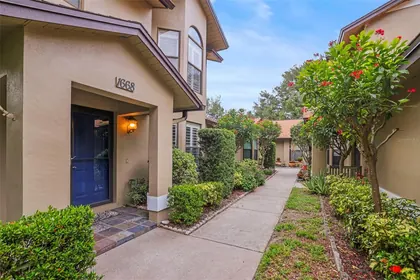 DUNEDIN FL Home