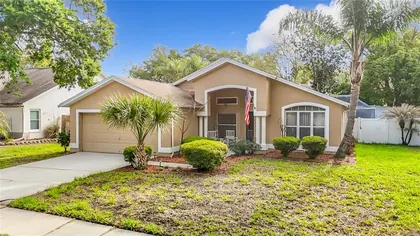 VALRICO FL Home