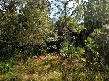 NORTH PORT FL Property