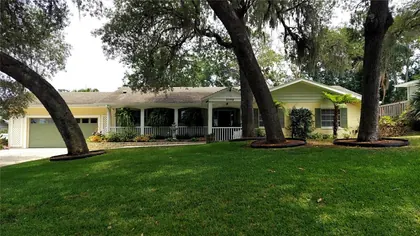 MOUNT DORA FL Home