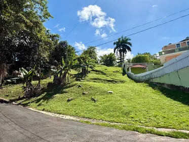 CAROLINA PR Property