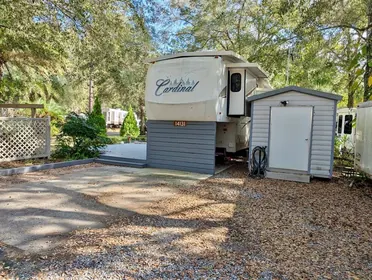 SALT SPRINGS FL Property