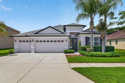 WESLEY CHAPEL FL Home