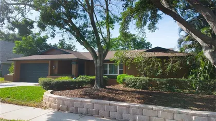DUNEDIN FL Home