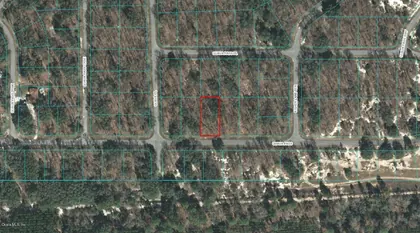 OCKLAWAHA FL Property