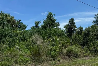 OCALA FL Property