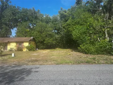 LEESBURG FL Property