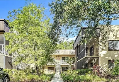 TEMPLE TERRACE FL Home