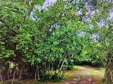 NEW PORT RICHEY FL Property
