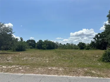 LAKE WALES FL Property