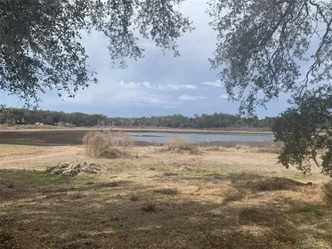 INVERNESS FL Property