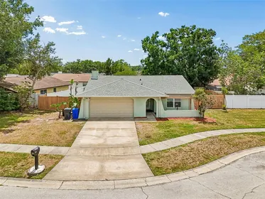 TAMPA FL Home