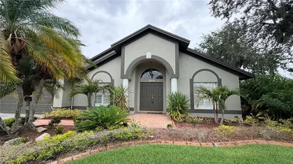 LUTZ FL Home