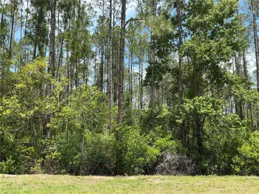 HASTINGS FL Property