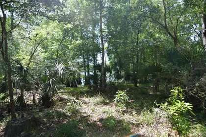 BUSHNELL FL Property