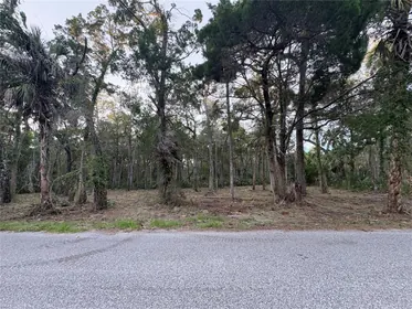 HOMOSASSA FL Property