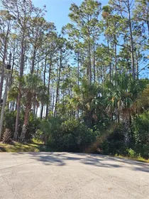 PALM COAST FL Property