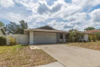 TARPON SPRINGS FL Home