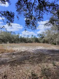 ARCHER FL Property
