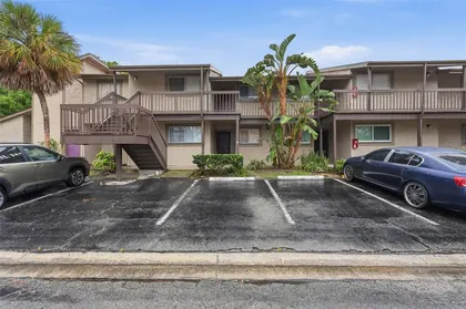 TAMPA FL Home