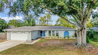 SEMINOLE FL Home