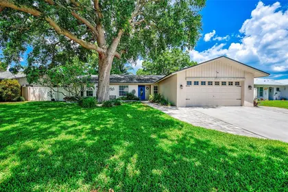DUNEDIN FL Home