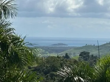 NAGUABO PR Property