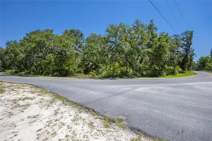 OLD TOWN FL Property