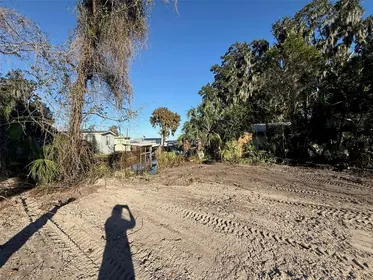 LAKE PANASOFFKEE FL Property