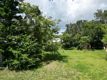 DAYTONA BEACH FL Property
