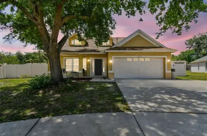 LUTZ FL Home