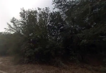INVERNESS FL Property