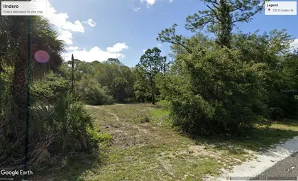 CLEWISTON FL Property