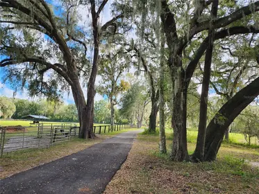 MORRISTON FL Property