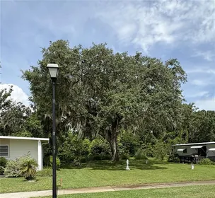 DADE CITY FL Property