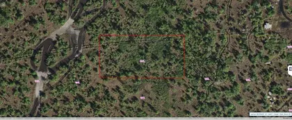ST CLOUD FL Property
