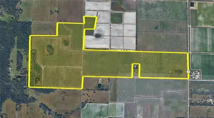 ARCADIA FL Property