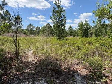 POLK CITY FL Property