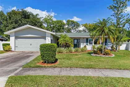 CLEARWATER FL Home