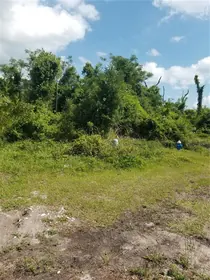 PALM COAST FL Property