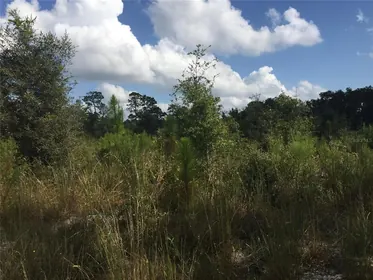ARCHER FL Property