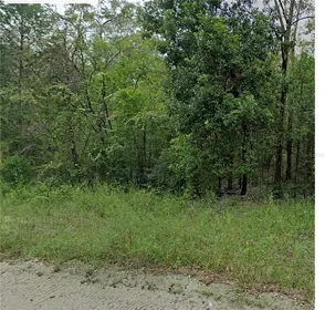 WILLISTON FL Property