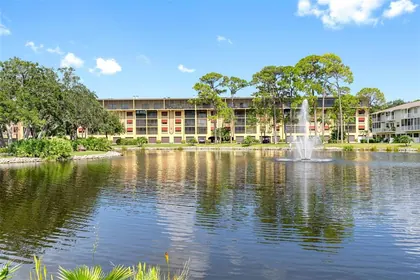 ST PETERSBURG FL Home